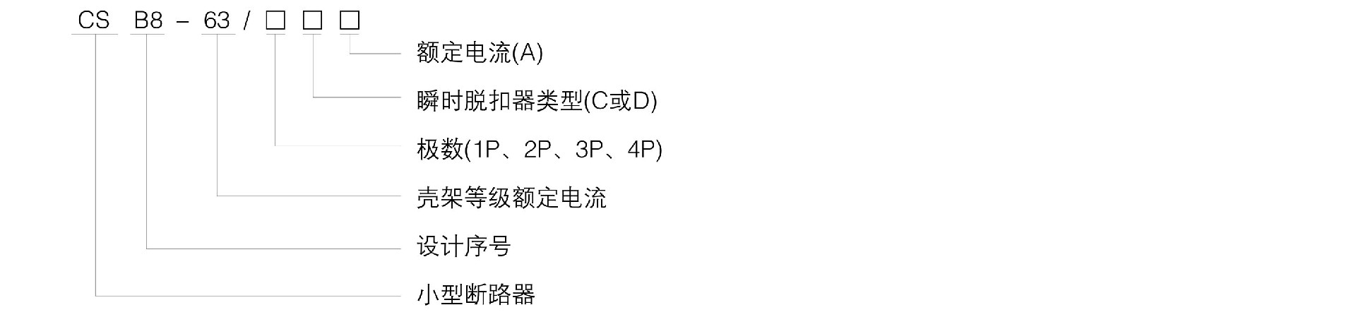 CSB8++1.jpg
